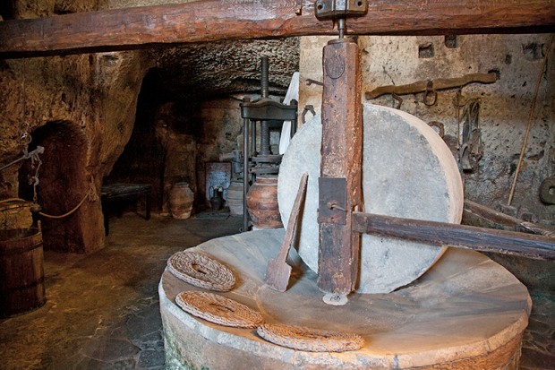 Civita Bagnoregio olive press in cellar