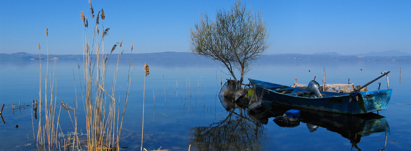 blueboat_bolsena_PatrickNicholas_800px