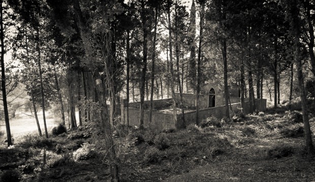 cemetery.chianti_PatrickNicholas-1220