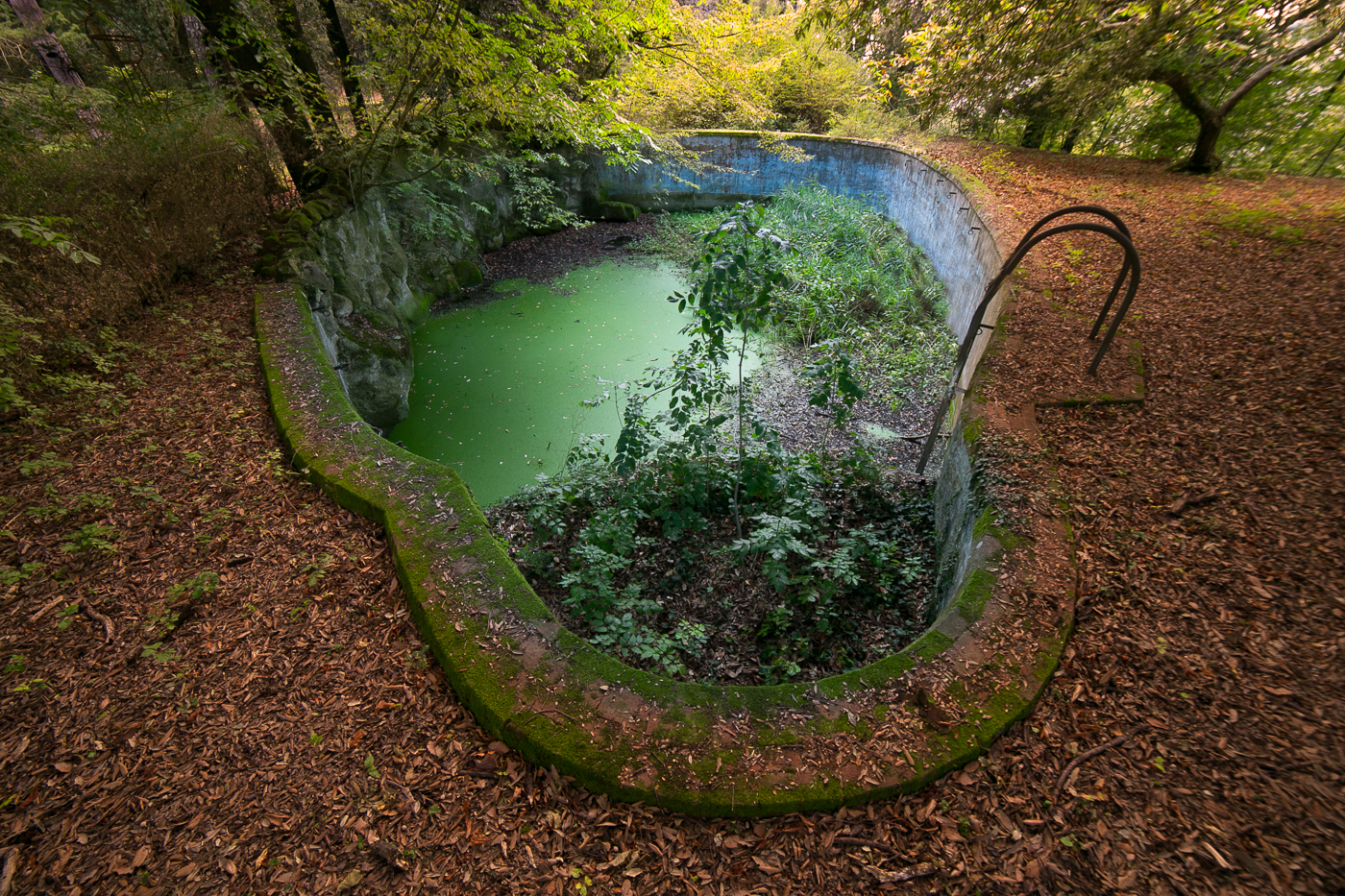 abandoned swimming pool