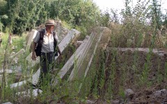 Patrick Nicholas ruins Castro