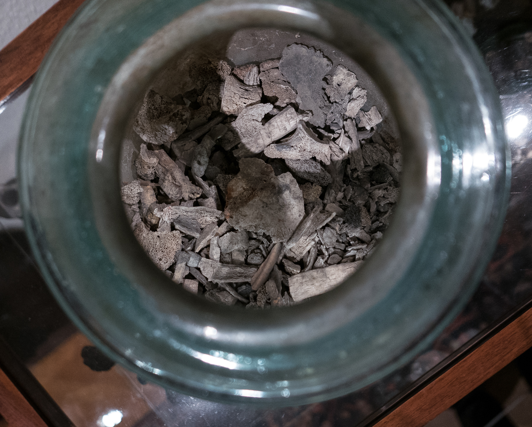 Richmond Nicholas Photography. Freud and his wife's cremated remains in the glass jar above the antiquities cabinet