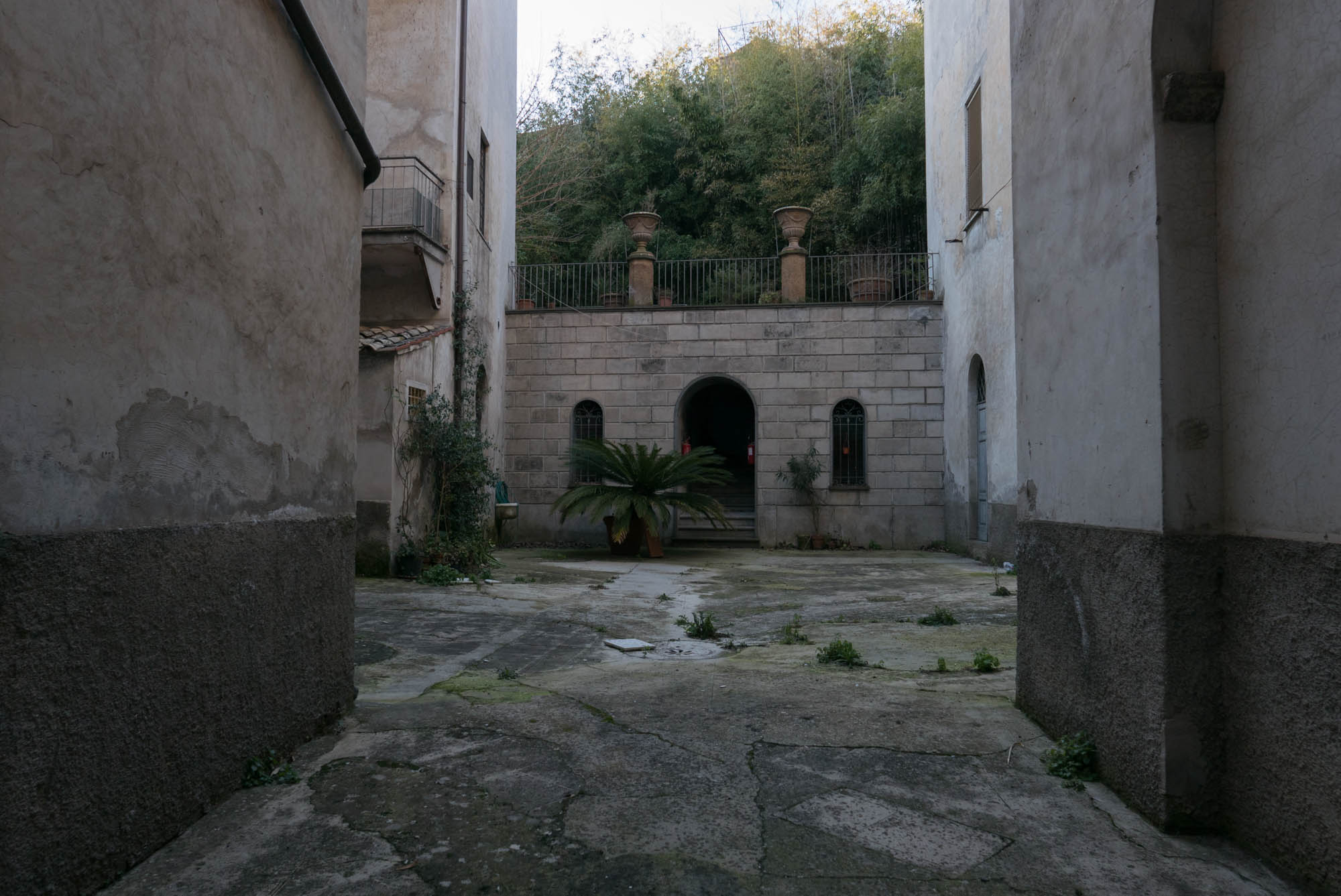 sigmund_freud in orvieto-belle_-arti patrick richmond nicholas