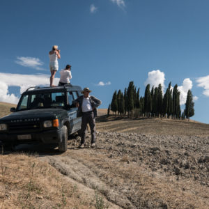 Tuscan Cypresses