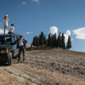 cypress grove on via Cassia Tuscany