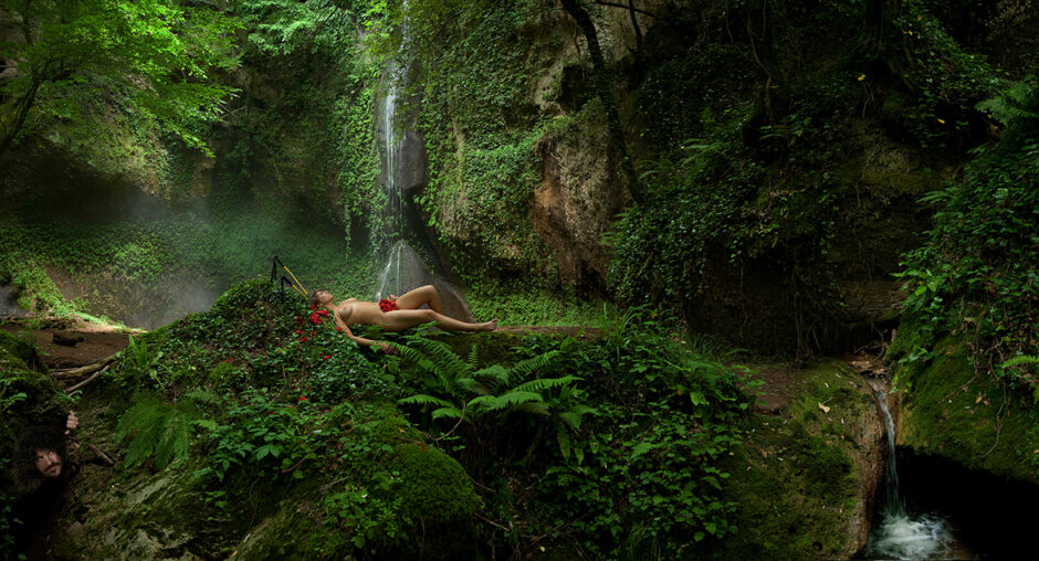 woman in glade
